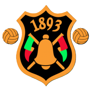 Dursley Town Reserves badge