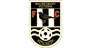 Malmesbury Victoria badge