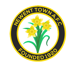 Newent Town badge