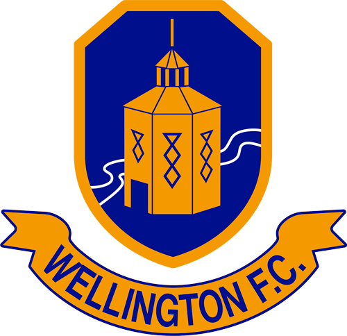 Wellington badge